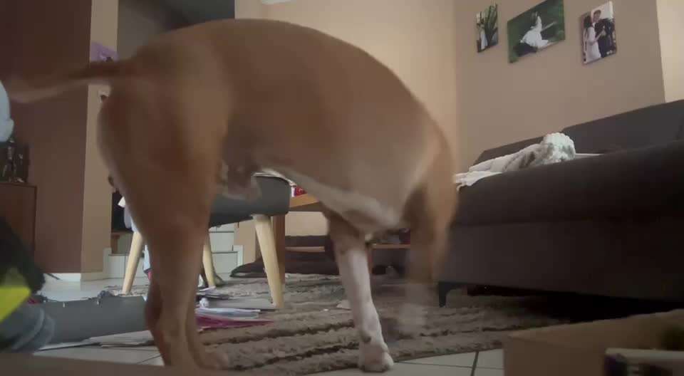 36. Trick-Challenge: Aufräumen!-Beitrag-Bild