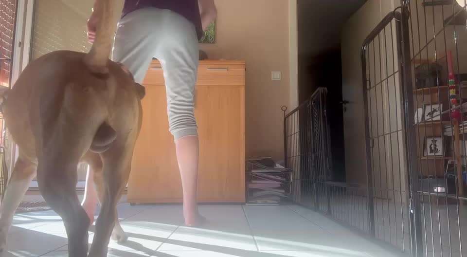 Trick Spiel - Koffer packen -der 22.-Beitrag-Bild