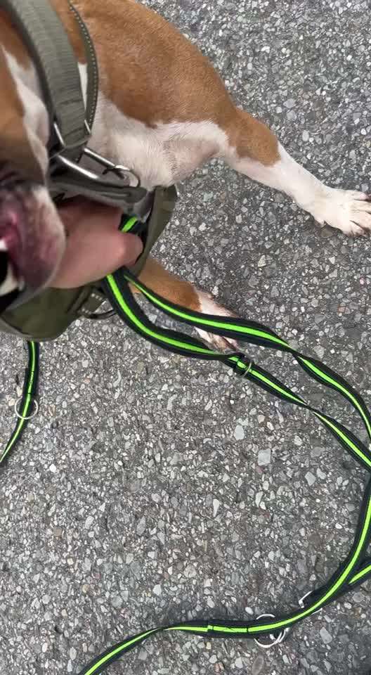 Ursache fürs Anspringen finden und beheben-Beitrag-Bild