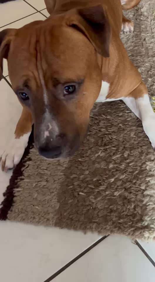 44. Impulskontrolle Callenge: ,,Essen ins Gesicht legen"-Beitrag-Bild