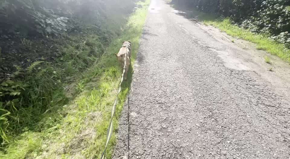 Ursache fürs Anspringen finden und beheben-Beitrag-Bild