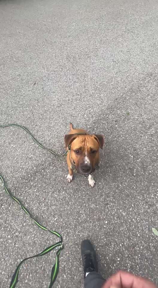 Ursache fürs Anspringen finden und beheben-Beitrag-Bild