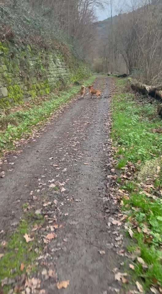 Ursache fürs Anspringen finden und beheben-Beitrag-Bild