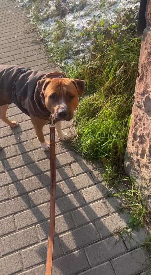 Ursache fürs Anspringen finden und beheben-Beitrag-Bild