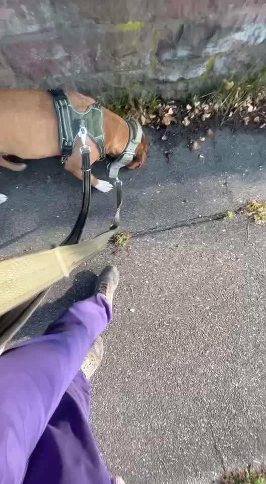 Ursache fürs Anspringen finden und beheben-Beitrag-Bild