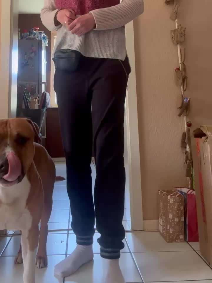 Trick Challenge Nr. 28: Slalom rückwärts-Beitrag-Bild