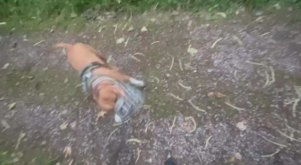 Ursache fürs Anspringen finden und beheben-Beitrag-Bild