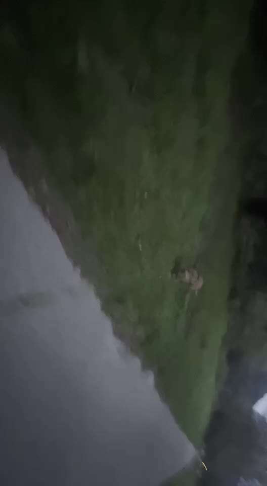 60. Impulskontrolle-Übung/Challenge:
(Spiel-) Pause-Beitrag-Bild