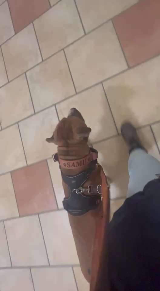 Impulskontrolle Challenge Nr.: 7
         "Gesellschaftsfähig"-Beitrag-Bild