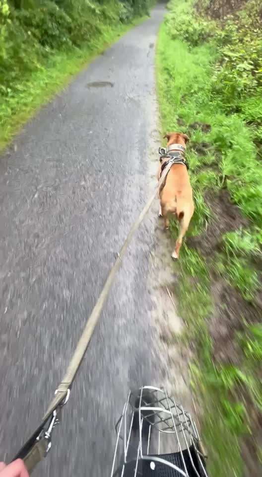 Ursache fürs Anspringen finden und beheben-Beitrag-Bild