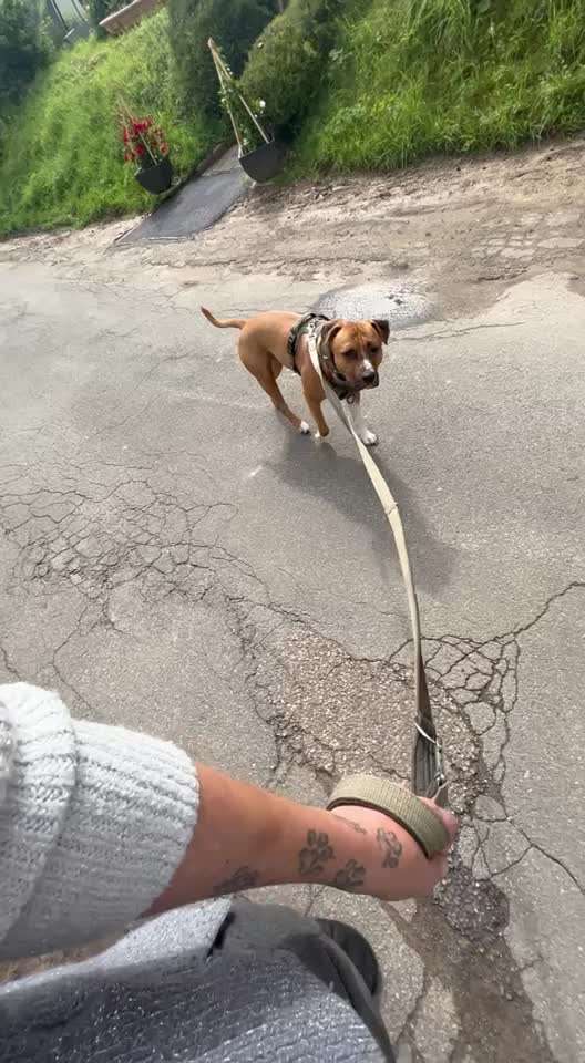 Ursache fürs Anspringen finden und beheben-Beitrag-Bild