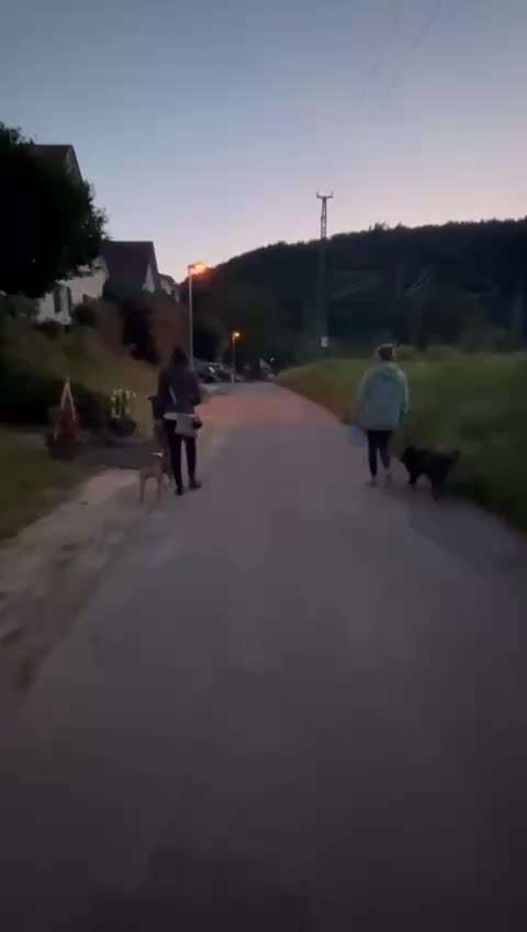 Ursache fürs Anspringen finden und beheben-Beitrag-Bild