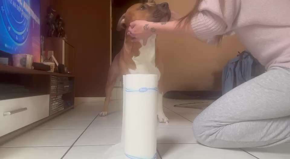 36. Impulskontrollübung-Beitrag-Bild