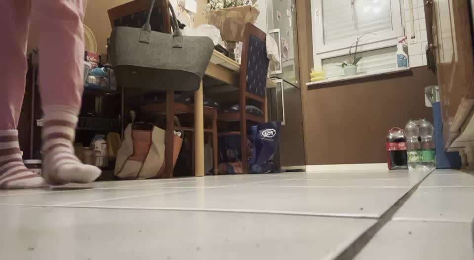 Impulskontrolle Challenge Nr. 5: Lekkerli zurück bringen-Beitrag-Bild