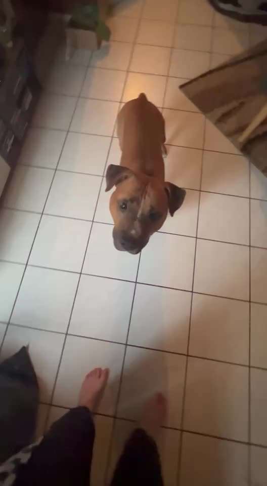 59. Impulskontrollchallenge " Qual der Wahl"-Beitrag-Bild