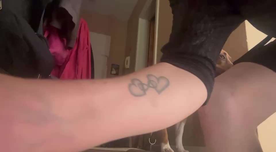 36. Impulskontrollübung-Beitrag-Bild