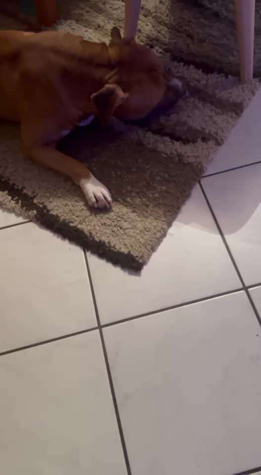 Trick Challenge ABC-Beitrag-Bild