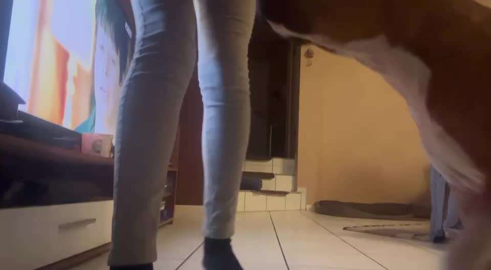 Trick Spiel - Koffer packen -der 22.-Beitrag-Bild