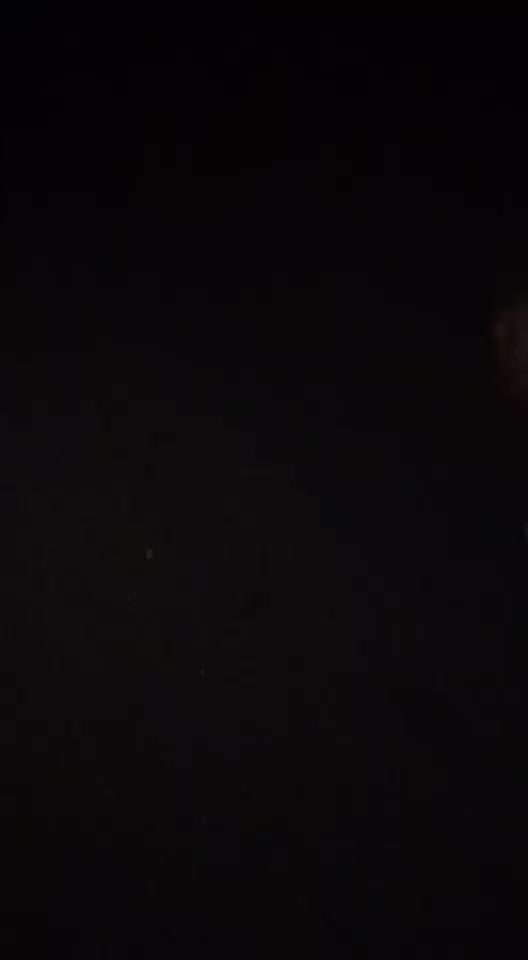 Vorderführ-Geschirr (mit Brustring)..... & Training Leinenführung ;)-Beitrag-Bild