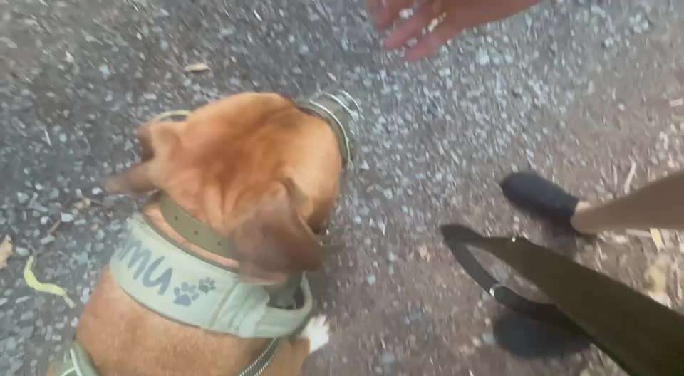 Ursache fürs Anspringen finden und beheben-Beitrag-Bild