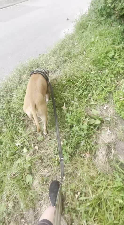 58.Impulskontrollchallenge " Geduld haben !"-Beitrag-Bild