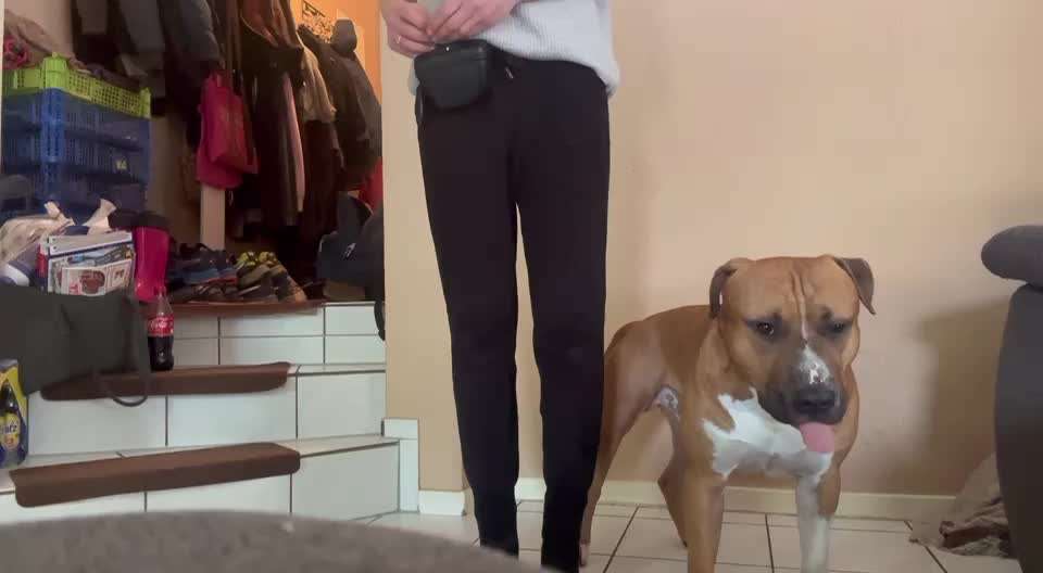 Trick Challenge Nr. 29 ,,TWIST"-Beitrag-Bild