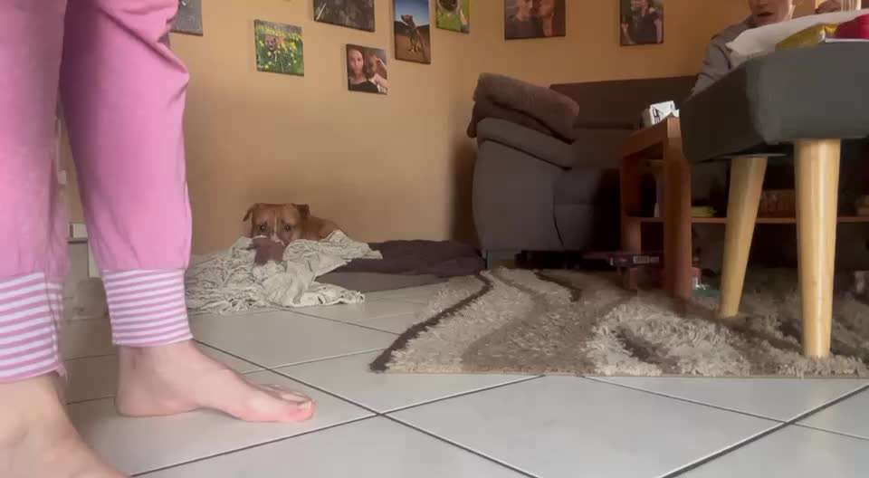 49. Impulskontrolle Challenge: Anziehen-Beitrag-Bild