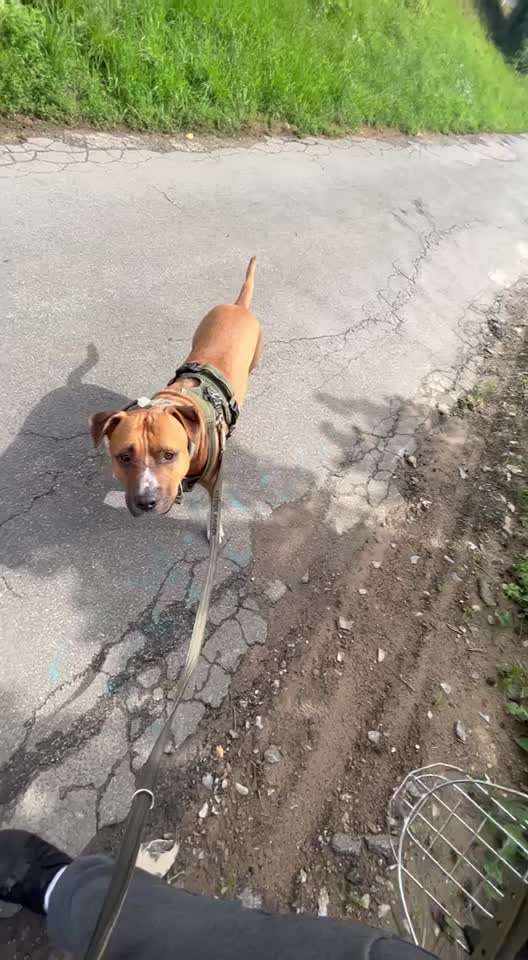 Ursache fürs Anspringen finden und beheben-Beitrag-Bild