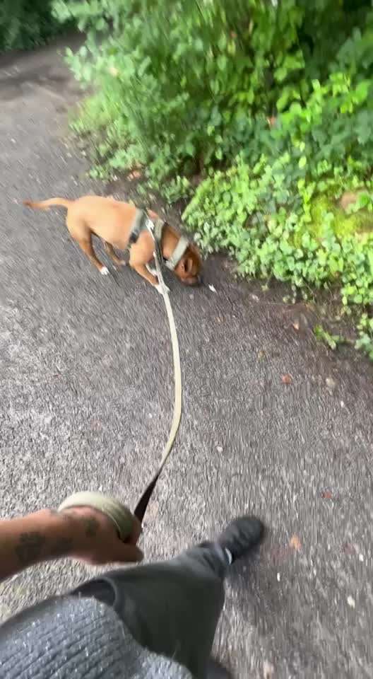 Ursache fürs Anspringen finden und beheben-Beitrag-Bild