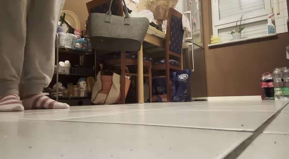 Impulskontrolle Challenge Nr. 5: Lekkerli zurück bringen-Beitrag-Bild