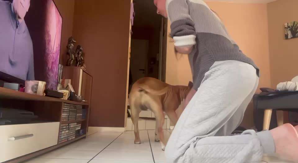 Trick Spiel - Koffer packen -der 22.-Beitrag-Bild