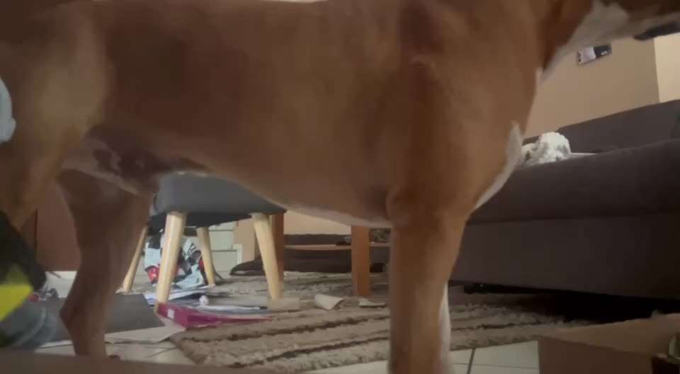 36. Trick-Challenge: Aufräumen!-Beitrag-Bild