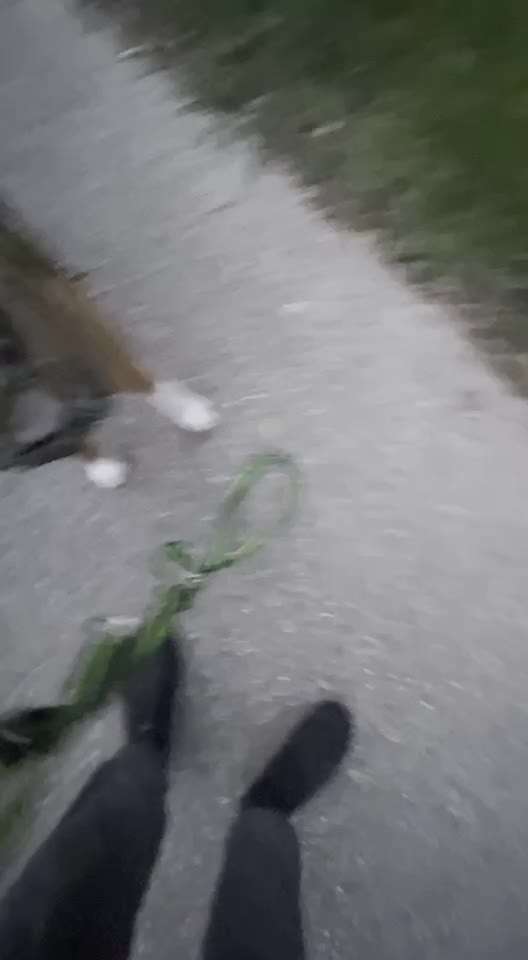 60. Impulskontrolle-Übung/Challenge:
(Spiel-) Pause-Beitrag-Bild