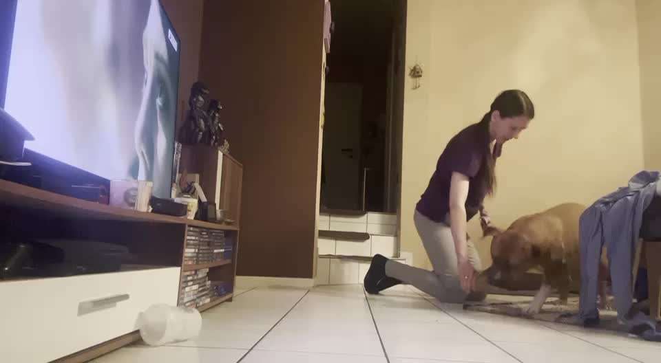 Trick Spiel - Koffer packen -der 22.-Beitrag-Bild