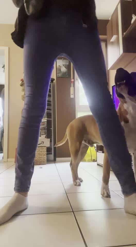 37. Trick-Challenge: Pinguin-Lauf-Beitrag-Bild