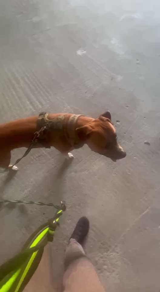 Ursache fürs Anspringen finden und beheben-Beitrag-Bild