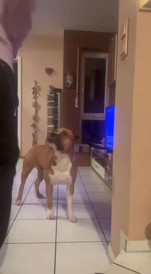 38. Trick Challenge: Slalom durch die Arme-Beitrag-Bild