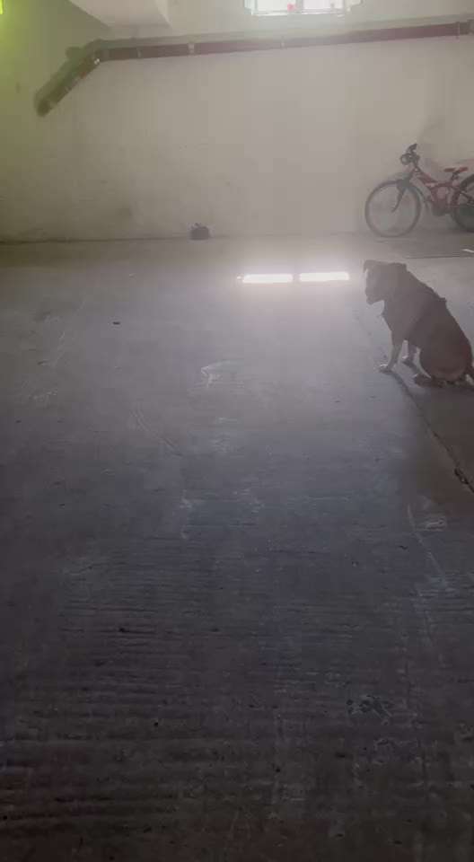 38. Gemeinsame impulskontrolleübung 
        " Ansprechbarkeit  "-Beitrag-Bild