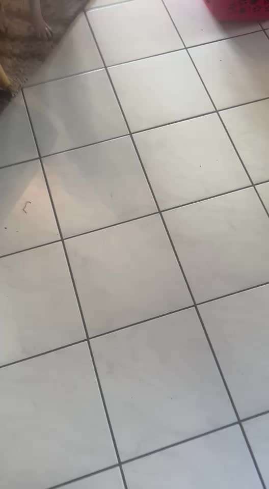 Trick Spiel - Koffer packen -der 22.-Beitrag-Bild