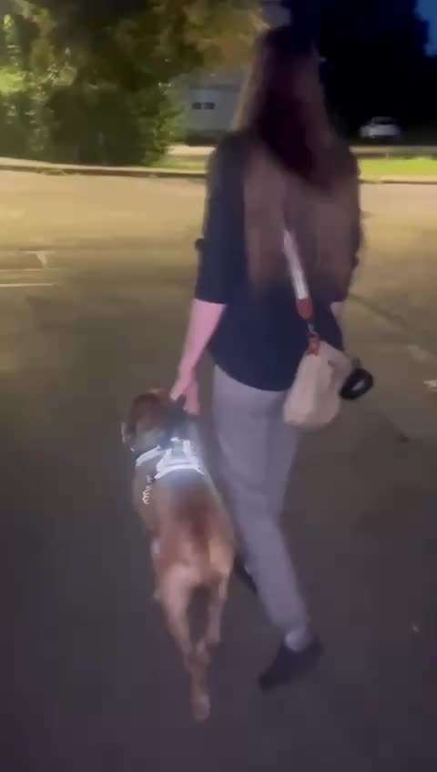 Ursache fürs Anspringen finden und beheben-Beitrag-Bild