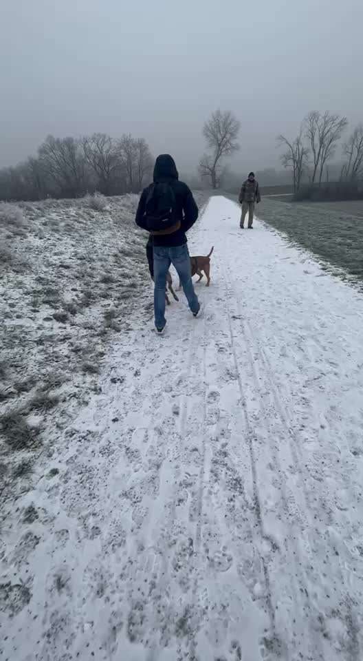 Ursache fürs Anspringen finden und beheben-Beitrag-Bild