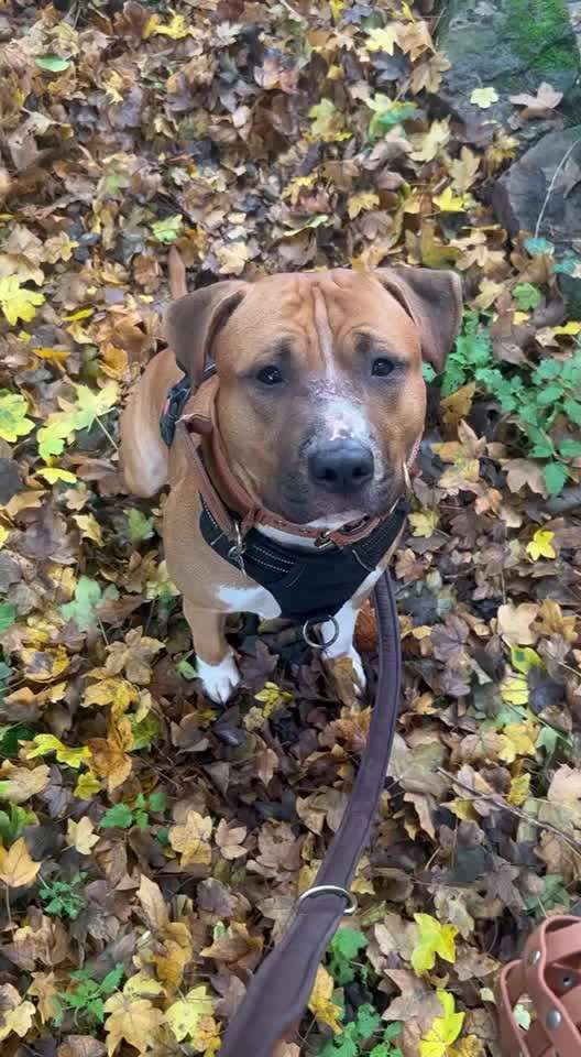 Trick Challenge ABC-Beitrag-Bild