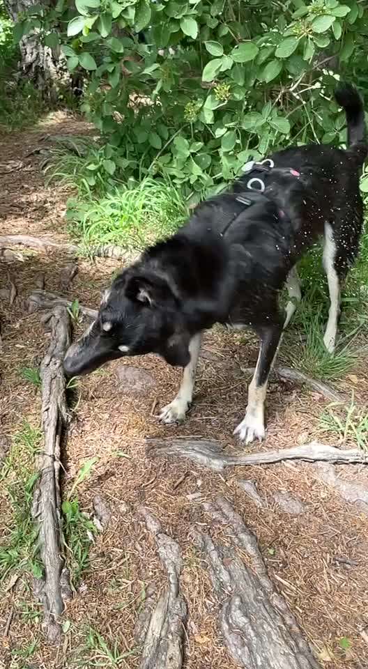 15. Video Challenge.  In SloMo die Welt erkunden!-Beitrag-Bild