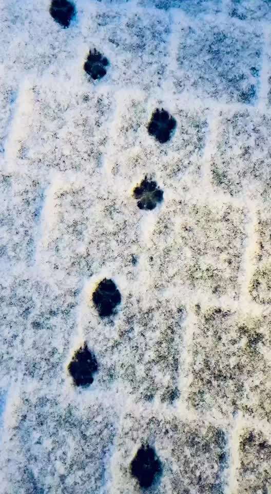 Der erste Schnee, zeigt uns eure tollen Schneemomente-Beitrag-Bild