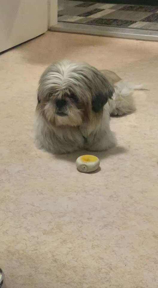 Sodbrennen, in die luft schlecken?-Beitrag-Bild