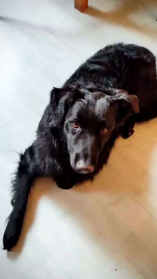 Video Challenge Nr. 4 - Lecker, Lecker-Beitrag-Bild