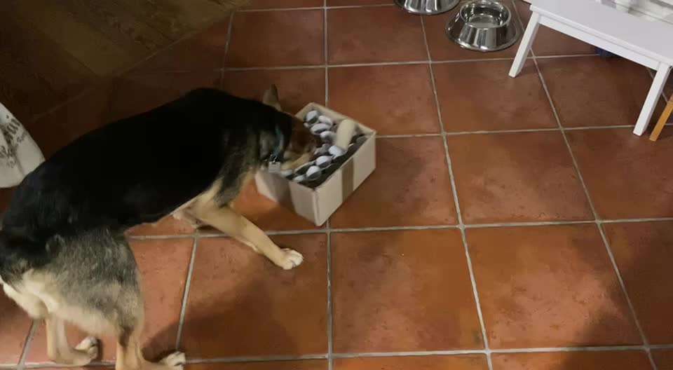 Schnüffelspiele Ideen.-Beitrag-Bild