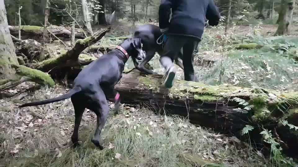 Handy Video Challenge Nr. 38 - Drüber springen-Beitrag-Bild