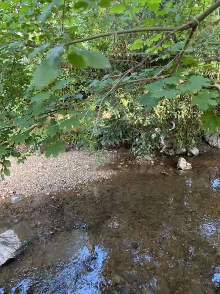 Steiermark-Beitrag-Bild