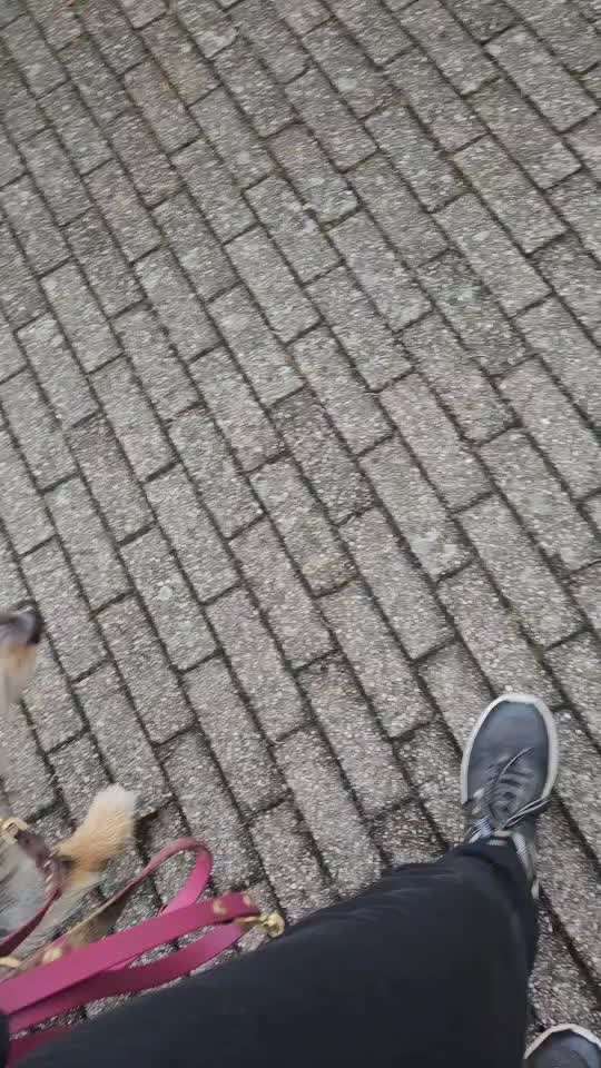 15. Impulskontrolle Challenge: Hinten-Beitrag-Bild